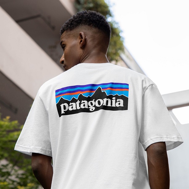 Patagonia t-shirt